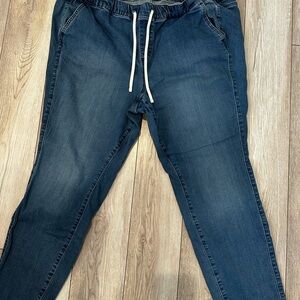 Torrid Pull On Jean 24W or 3R - Skinny Style - Super Soft